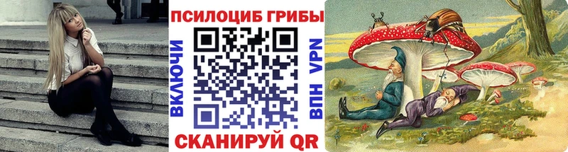 кракен ССЫЛКА  Сычёвка  Галлюциногенные грибы Psilocybe 